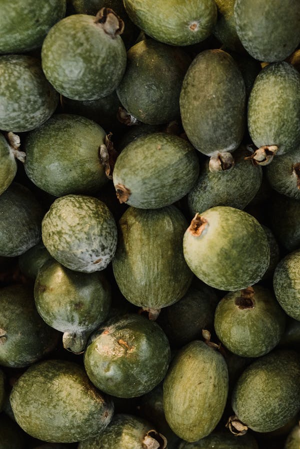 Green Round Fruits in Close Up Photography