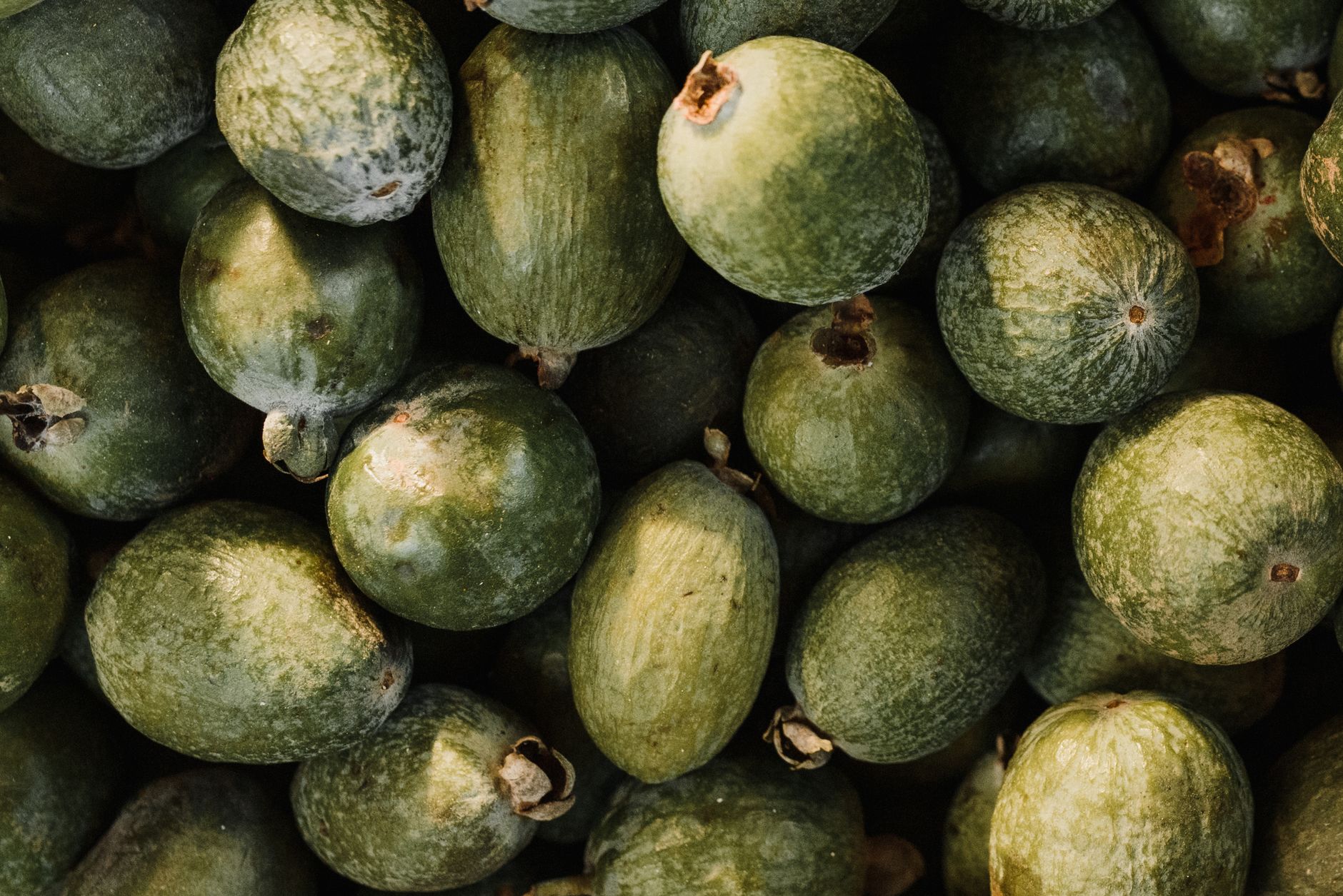 Kandungan Vitamin C dalam Jambu Biji Lebih Tinggi dari Jeruk