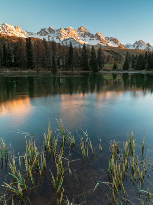 Mountains, Lake and Forest