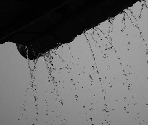 Gratis lagerfoto af monsun, regn-dråber, rørledning