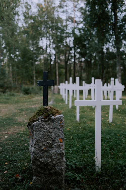 Kostnadsfri bild av grav, gröna träd, grönt gräs