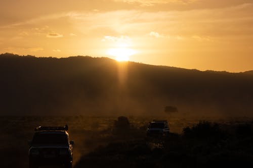 Free stock photo of africa, cars, dawn