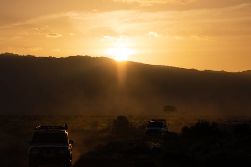 Gratis lagerfoto af afrika, biler, bjerge