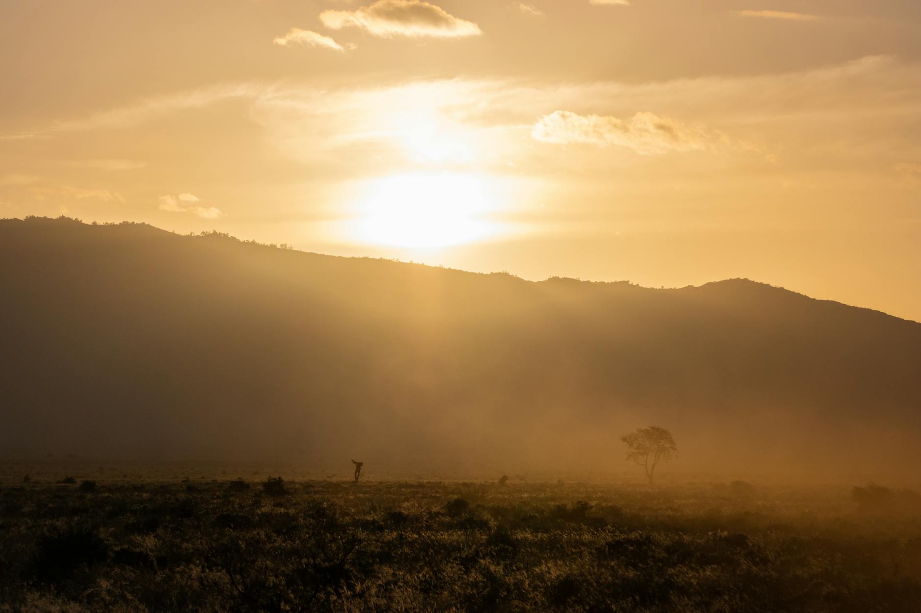 Popular sights in Tsavo National Park East Landmarks in Tsavo National Park East