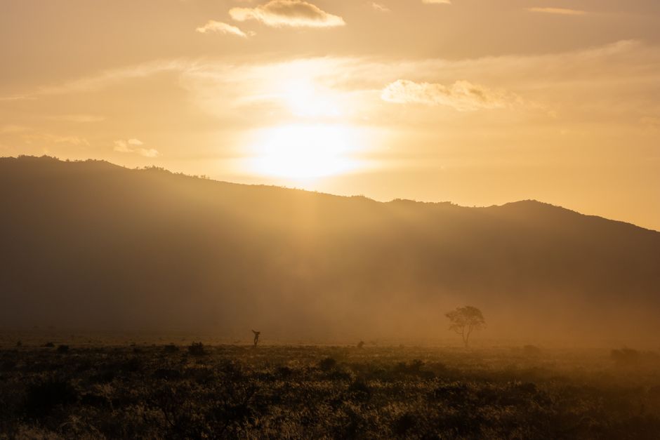 Les formations rocheuses des chutes de Lugard Dramatic sunset in Tsavo, Kenya showcasing silhouettes of trees and wildlife against dusty landscape.