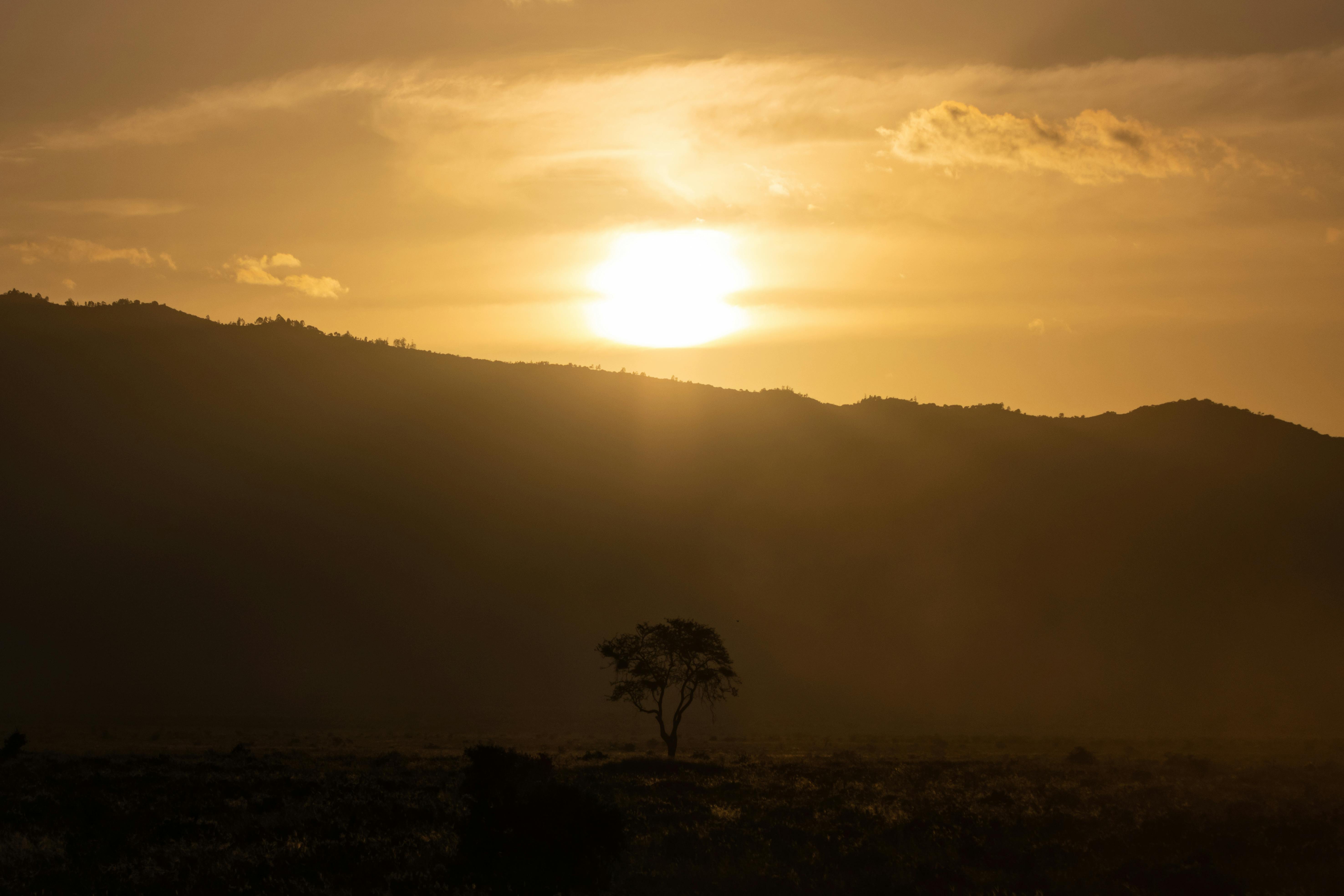 Itinerary Tsavo,Nairobi