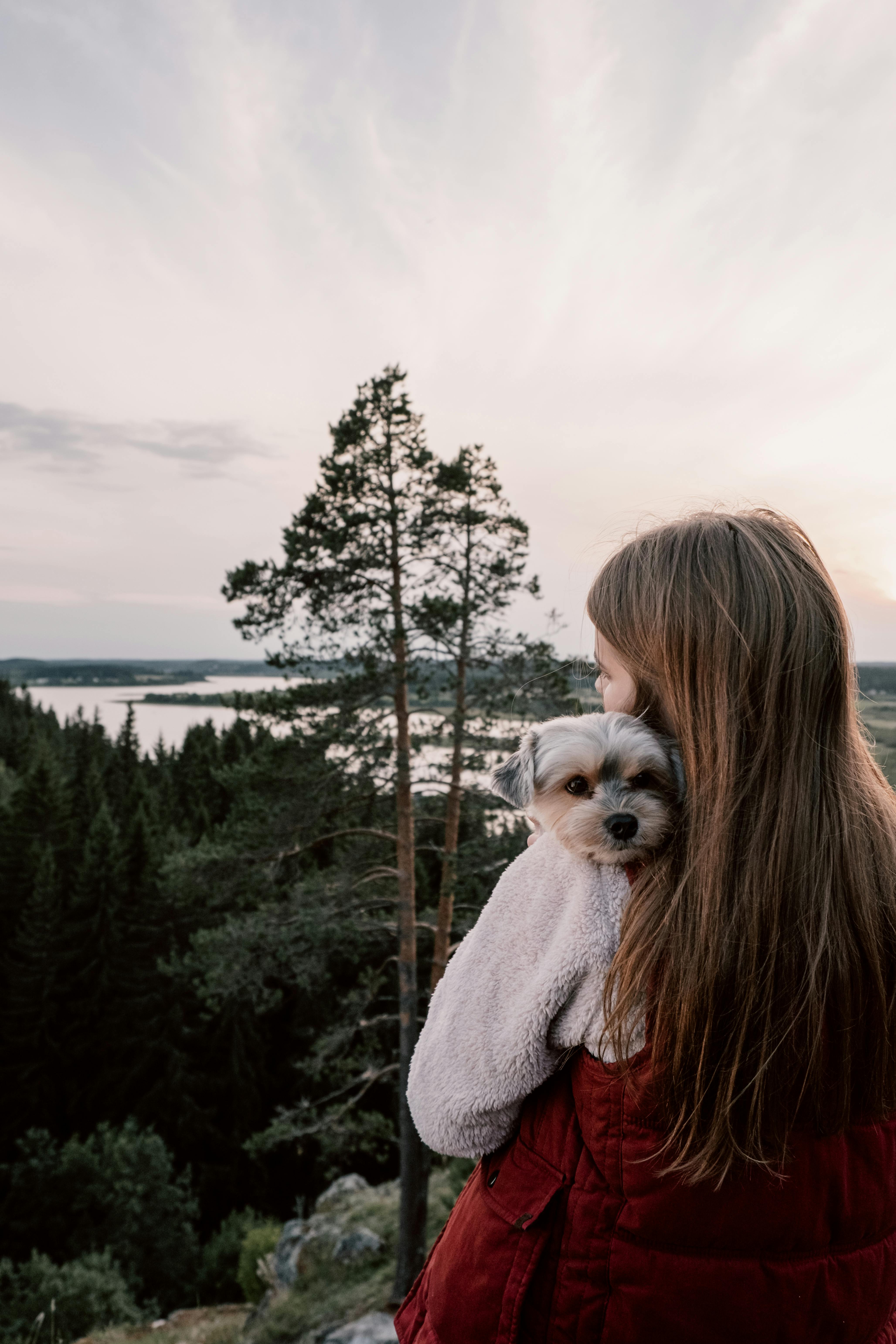 A woman hugging her puppy while enjoying a serene forest view during daylight.