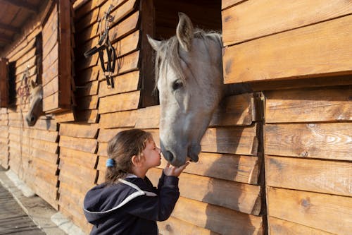 Photo of a Girl Doing Nose to Nose with a White Horse