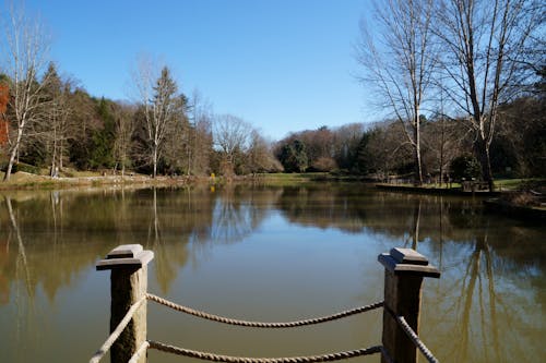 Základová fotografie zdarma na téma jezero, krajina, krása v přírodě