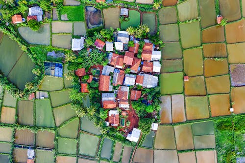 Fotobanka s bezplatnými fotkami na tému agronómia, blahobyt, budova