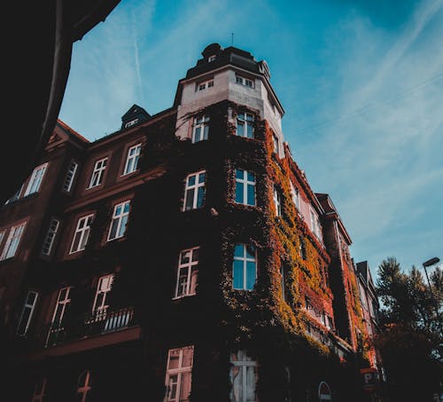 Fotografia Ad Angolo Basso Di Un Edificio In Cemento Bianco E Marrone