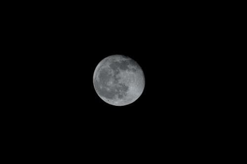 Free Full Moon on a Dark Night Sky Stock Photo