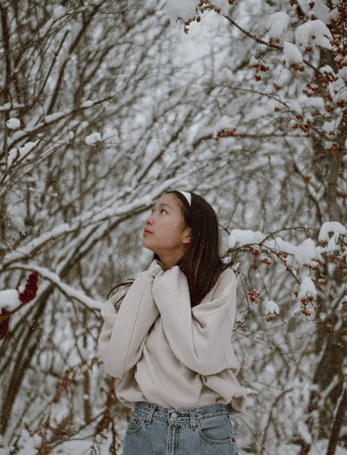 Young contemplative Asian female in casual wear admiring high leafless trees while looking up in winter woods