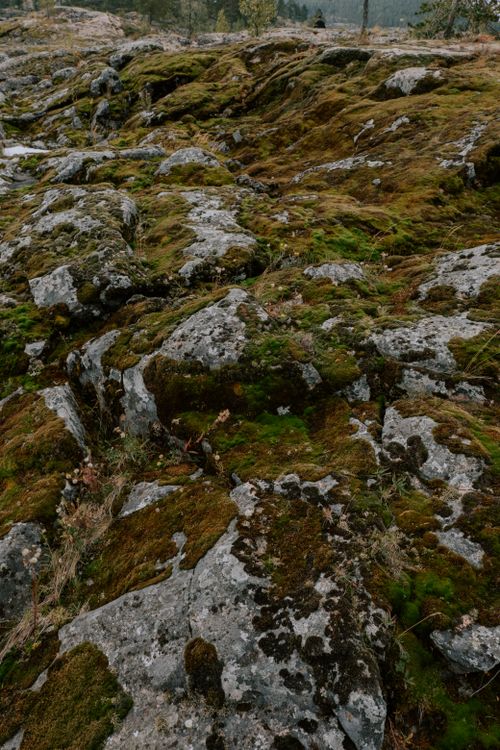 Free Explore the tranquility of nature with a moss-covered rocky terrain, perfect for natural beauty enthusiasts. Stock Photo