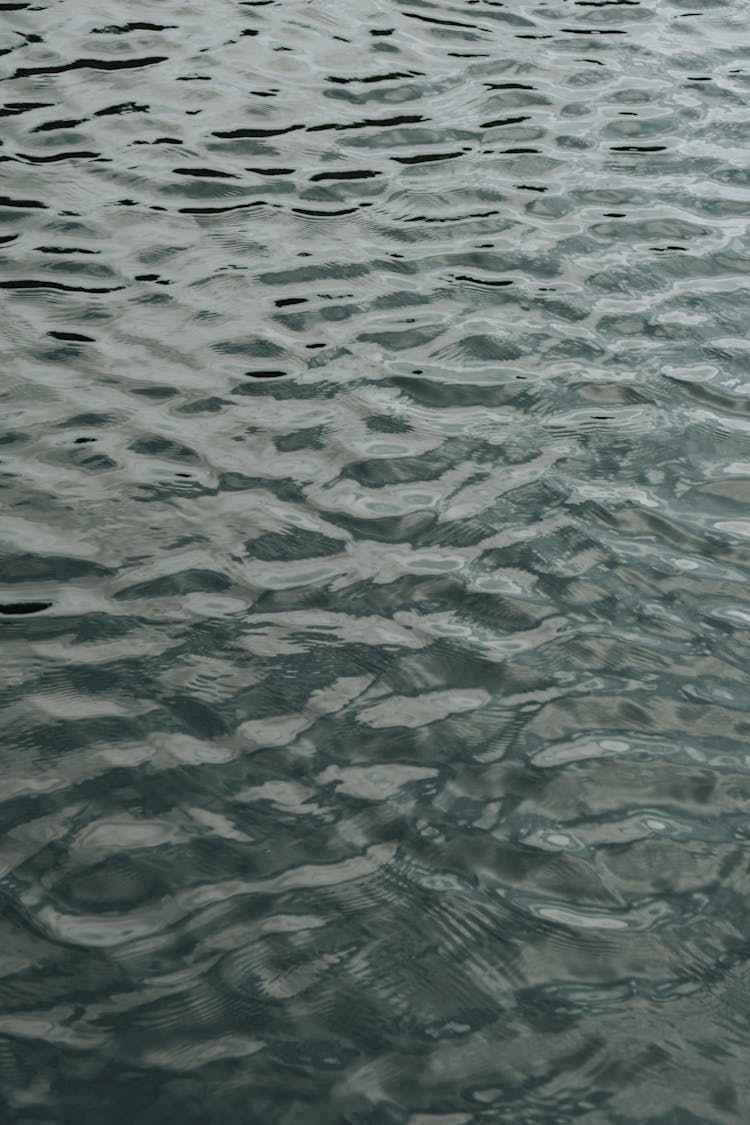 Ripples On Calm Water Surface