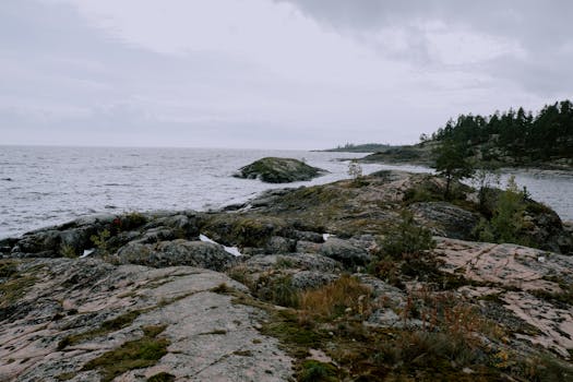 Explore a serene rocky coastline with moss and sparse vegetation, perfect for nature lovers.