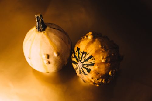 Free A warm-toned image featuring two distinct gourds in a creative composition. Stock Photo