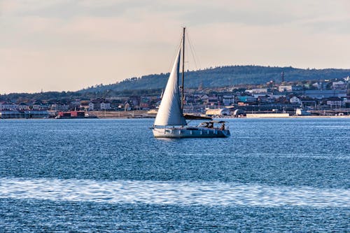 White Sail Boat on Sea