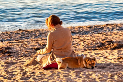 deniz kıyısı, Evcil Hayvan, Kadın içeren Ücretsiz stok fotoğraf
