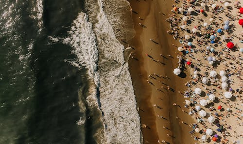 People at the Beach