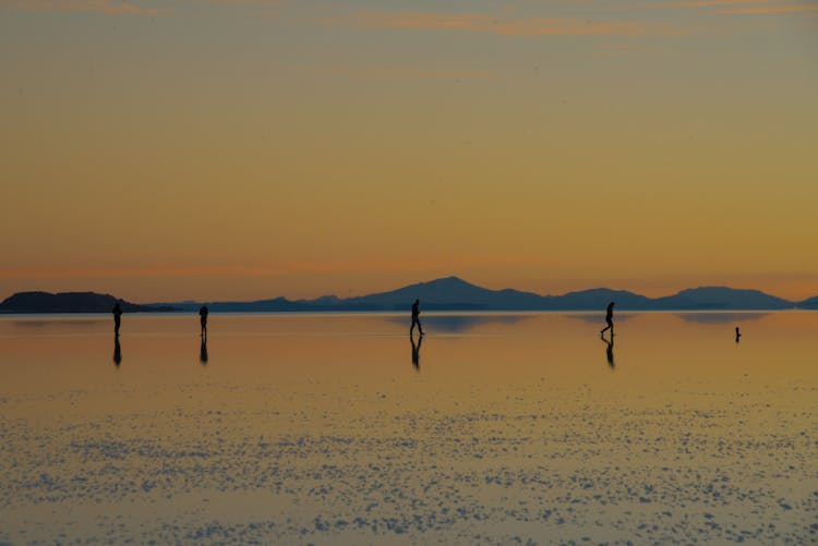 Silhouette Of People Walking On The Shore