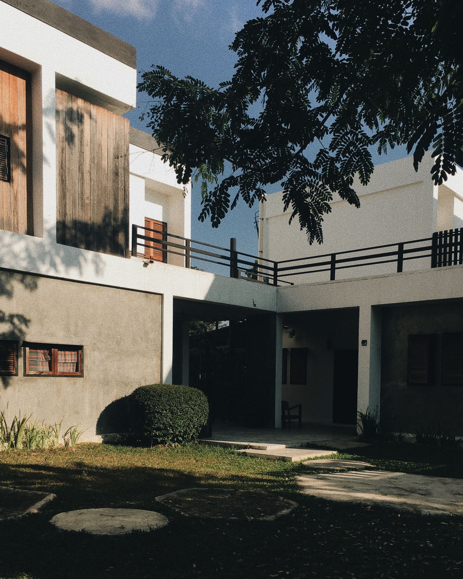 Concrete and timber house front with a mature tree casting shadow across the garden