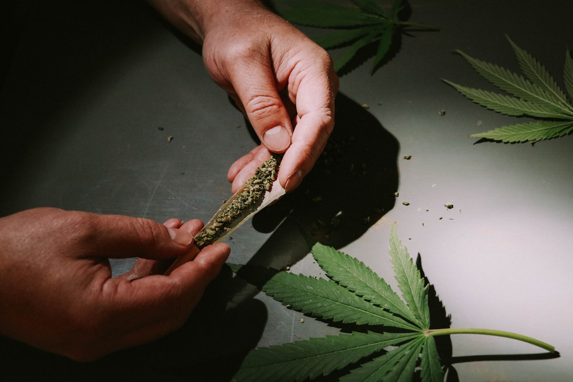 Cannabis and HIV/AIDS: Understanding the Potential Benefits and Risks