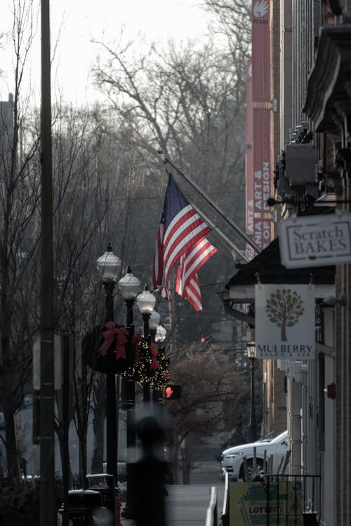 American Flags on a Street