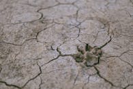 Crack Images