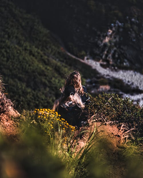 Free stock photo of aesthetic, beautiful, big sur