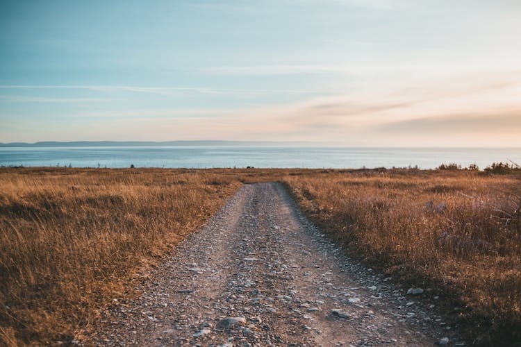 Rough Walkway And Faded Grass Against Ocean At Sunset