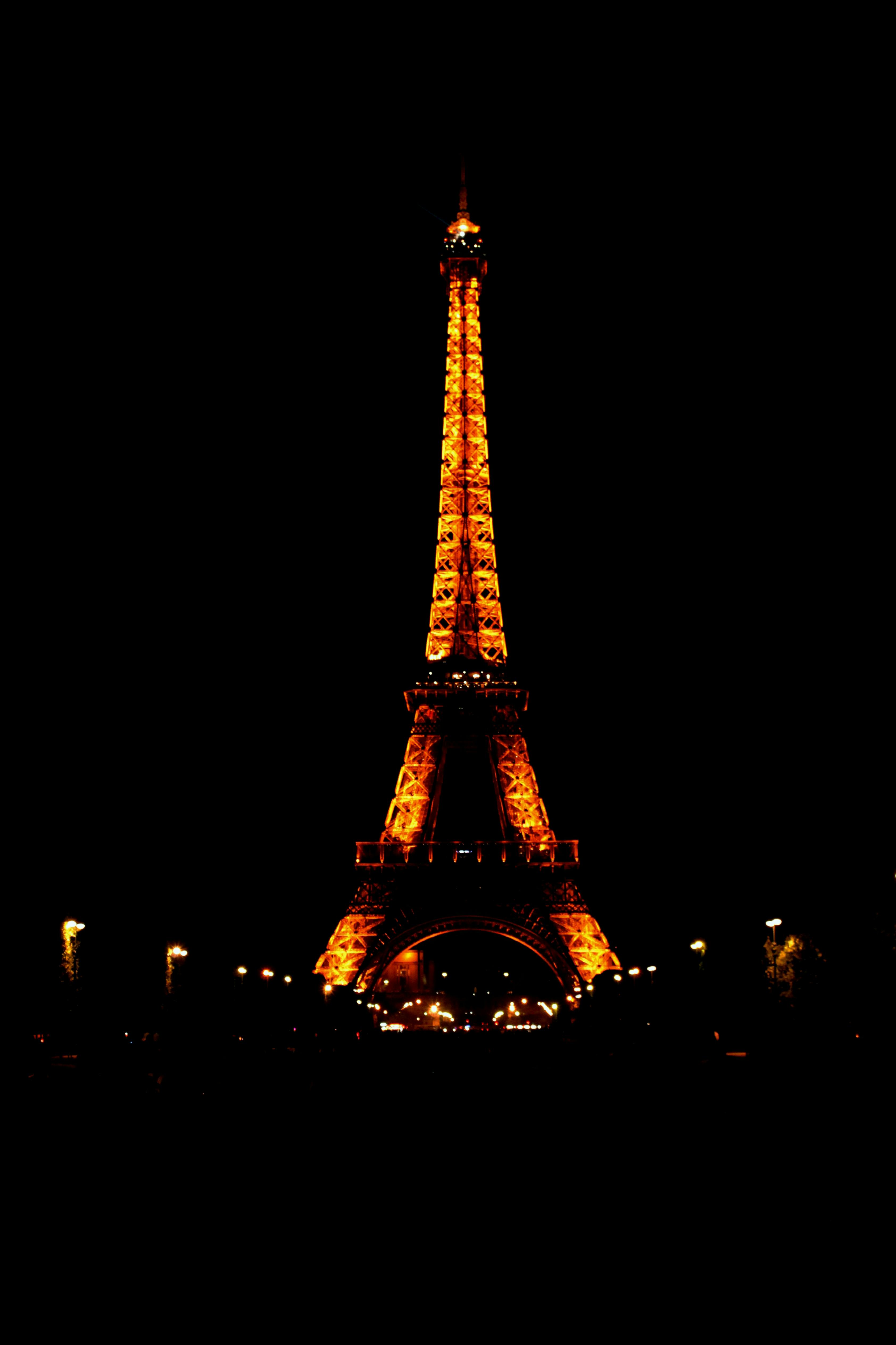 person showing eiffel tower during night