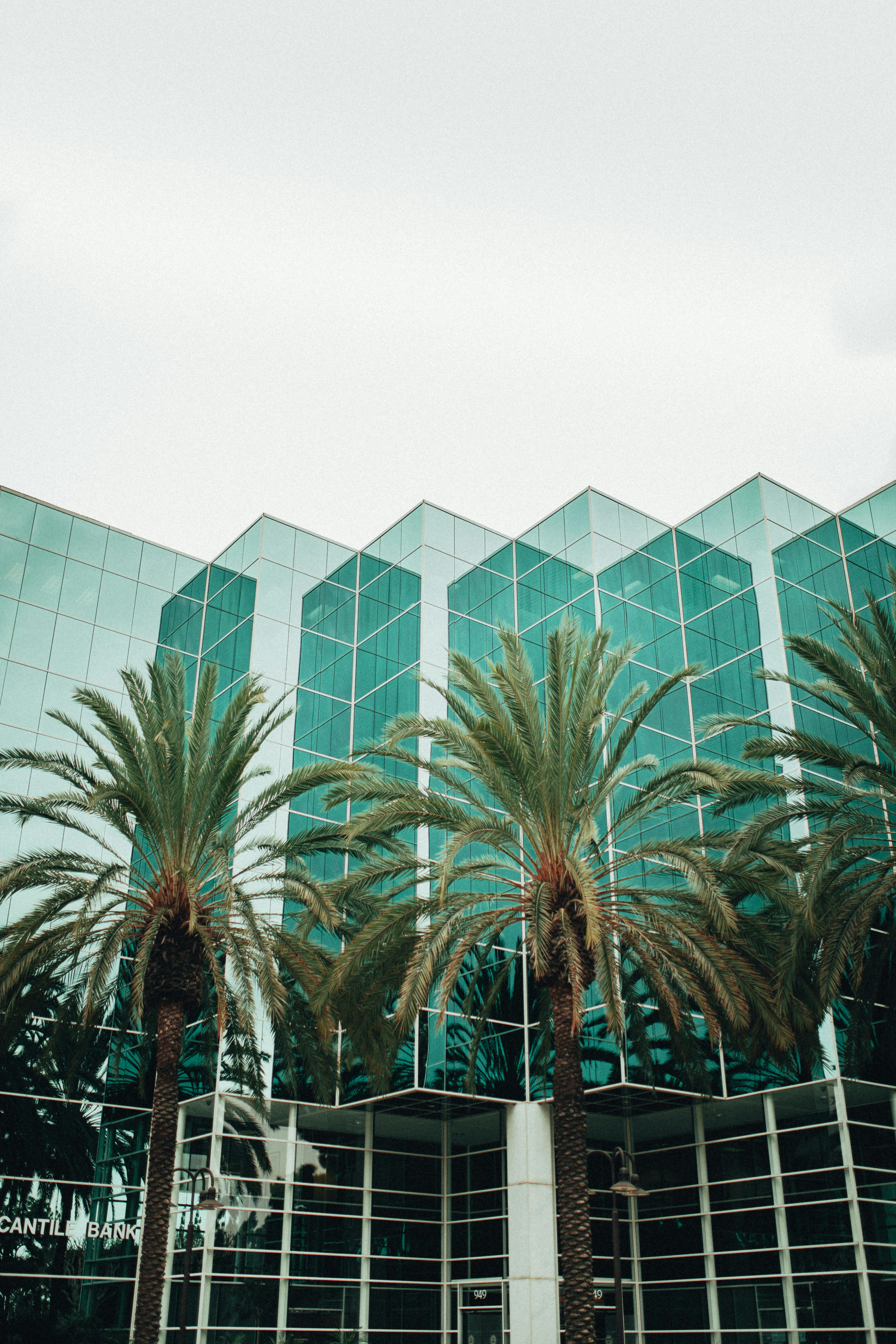 Contemporary building with glass facade and palm trees in Los Angeles.