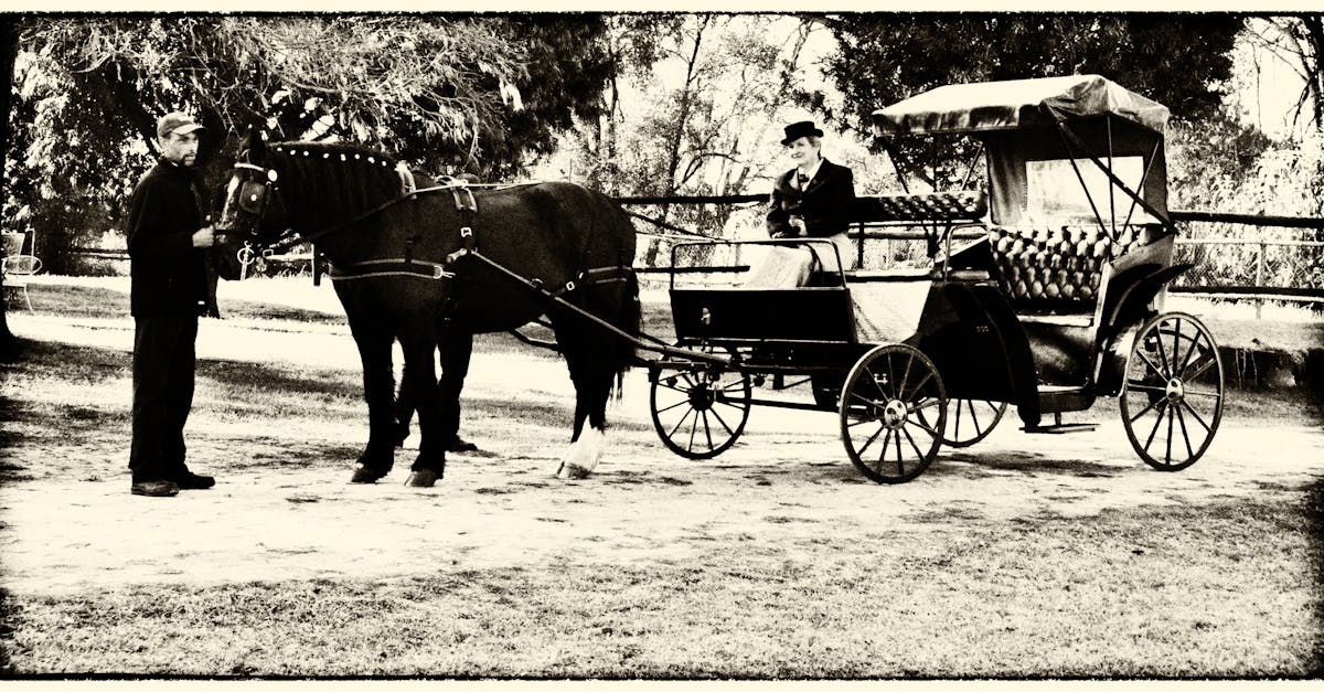 Free stock photo of carriage, horsedrawn carriage, wedding carriage