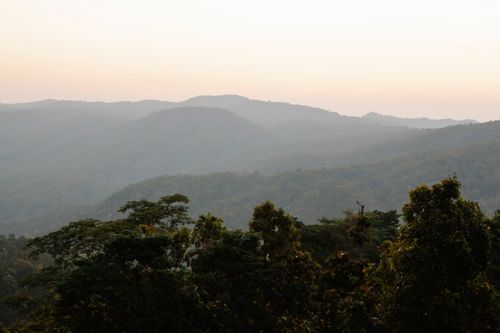 Free Picturesque scenery of mountains slopes covered with lush green forest against cloudless sunset sky Stock Photo