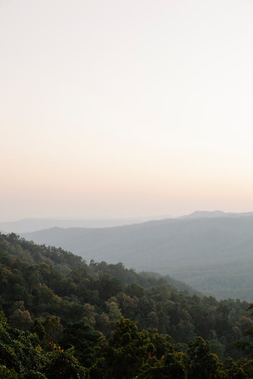 Amazing landscape of lush green trees growing on mountains slopes in wild valley against cloudless sunset sky