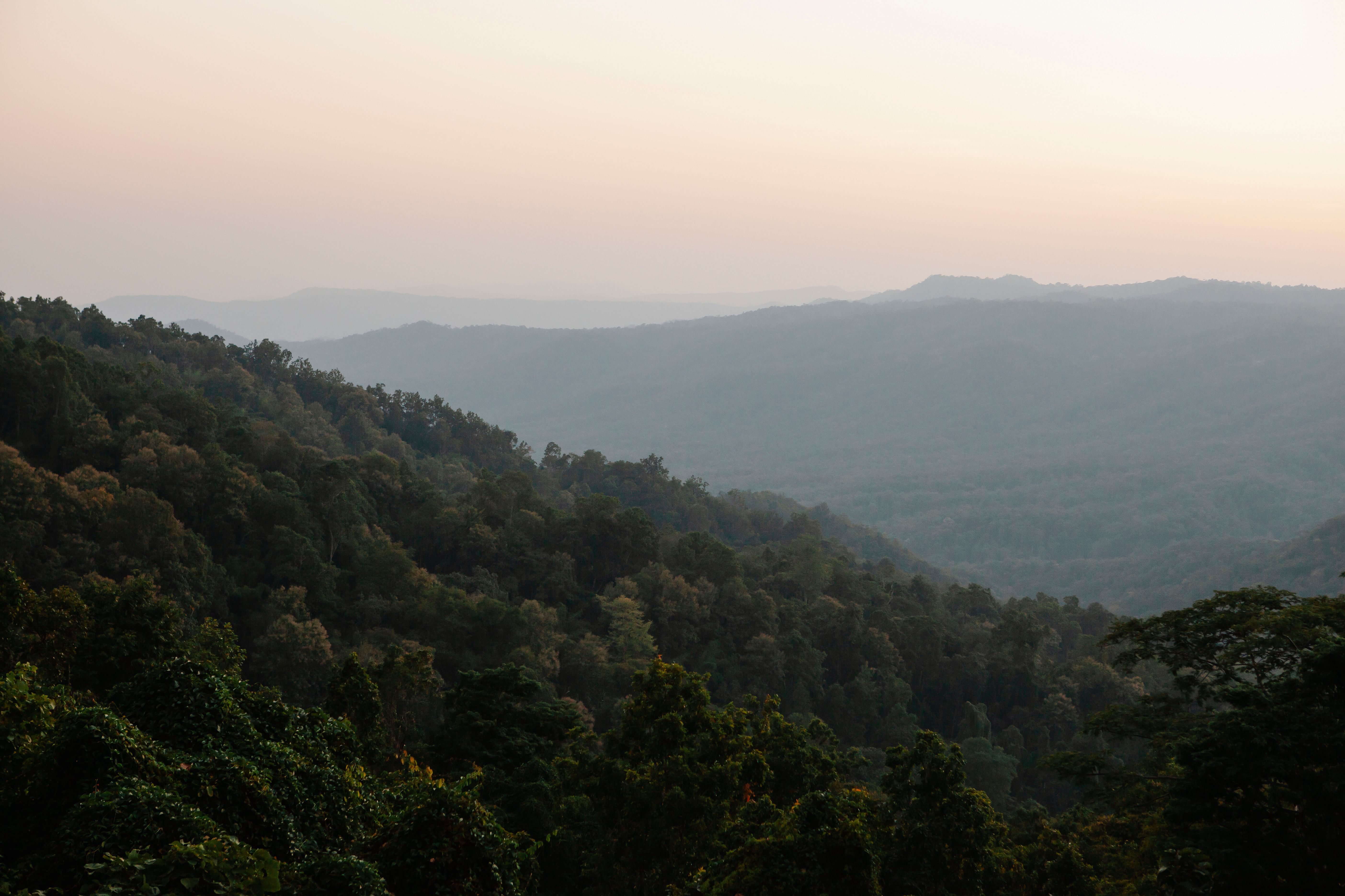 Balcony overlooking pine ridges and coffee slopes at dawn in the Lenca highlands