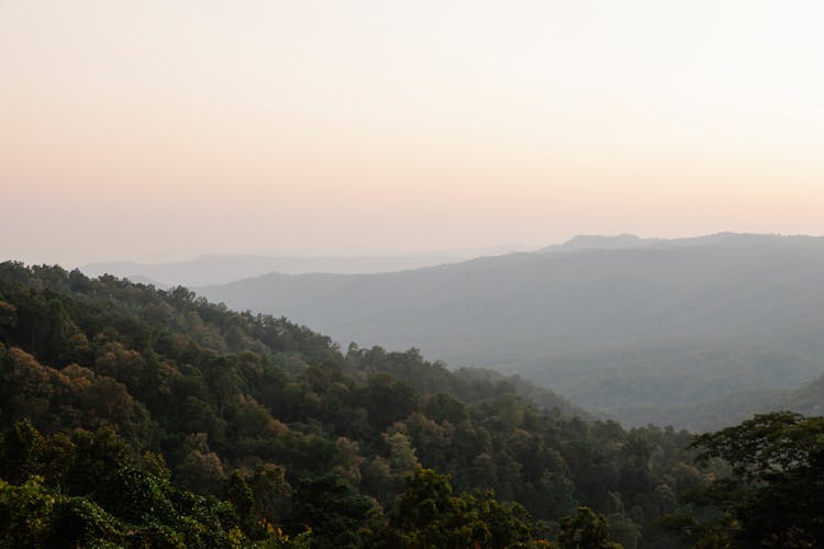 Mountains With Green Trees In Thick Mist On Sunrise