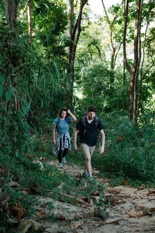Free Young couple of travelers in casual apparel walking on path between overgrown tropical trees in daylight Stock Photo