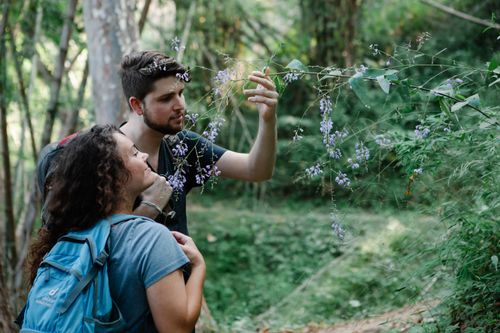 Free Young content couple of tourists enjoying aroma of blossoming flowers on bush during hike on pathway Stock Photo
