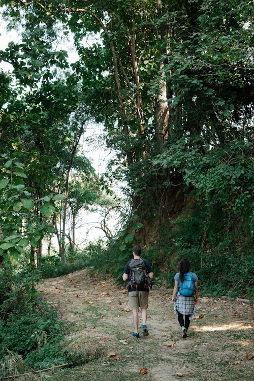 Anonymous backpackers strolling on pathway in forest