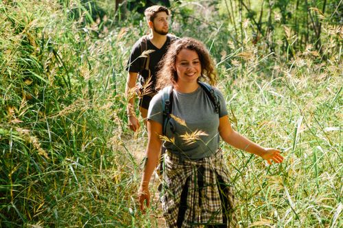Free Young happy couple of backpackers exploring bright plants from path during trip in back lit Stock Photo