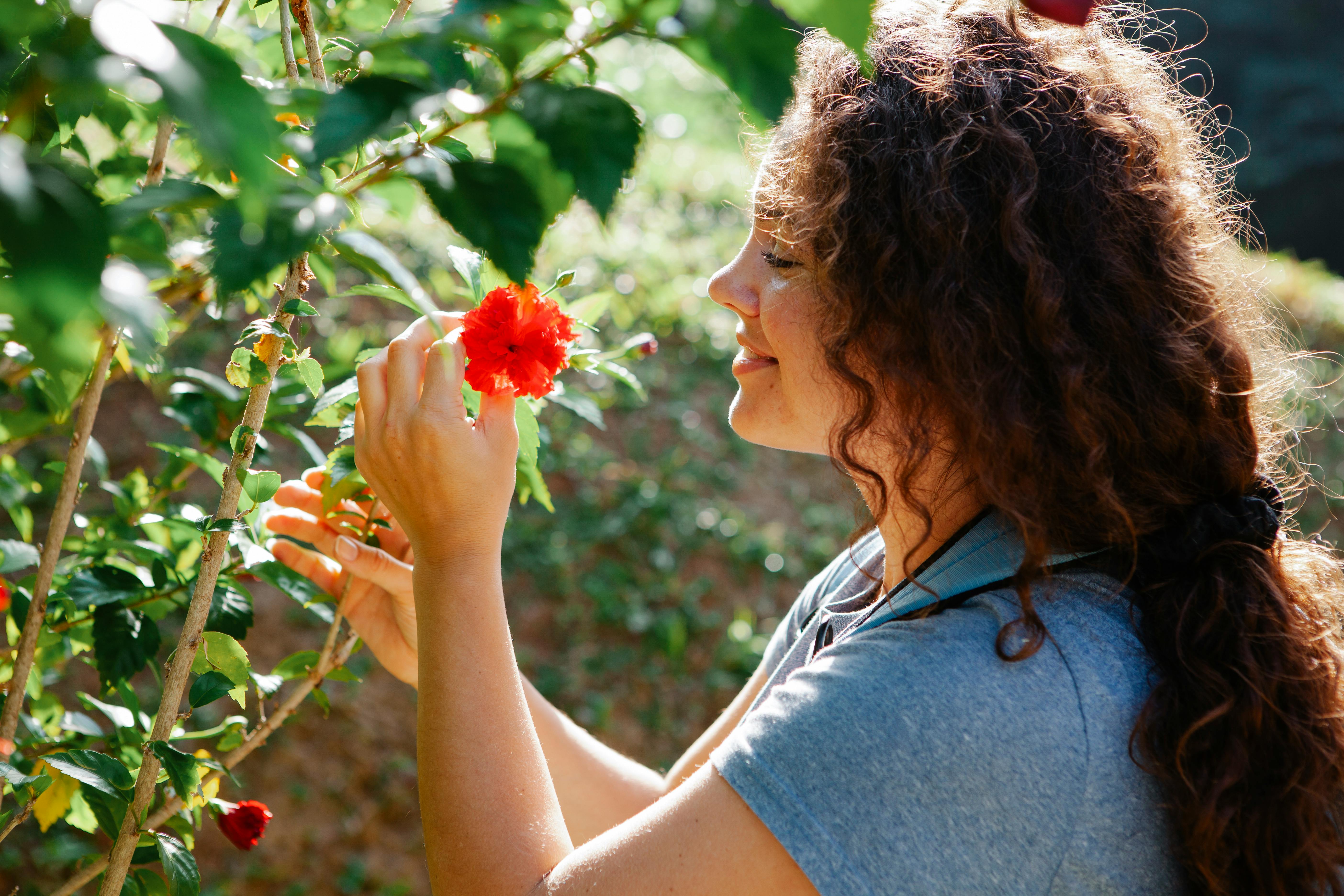 smiling woman touching bright blooming hibiscus on shrub