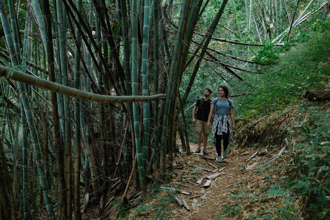 Full body of unrecognizable young female and male travelers in casual clothes walking on narrow pathway among bamboo trees during hiking trip