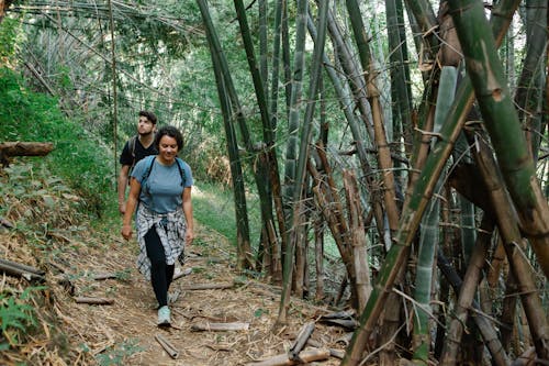 Active young couple strolling in jungle during romantic trip