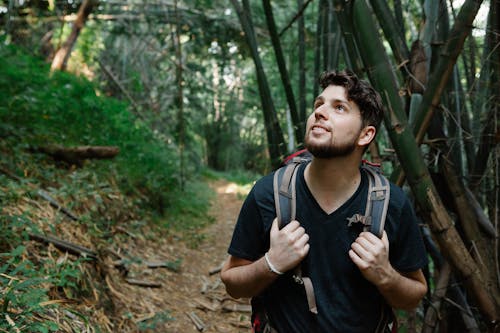 Happy young bearded male hiker in casual clothes and backpack smiling and looking up while standing near bamboo trees during hiking trip in sunlight