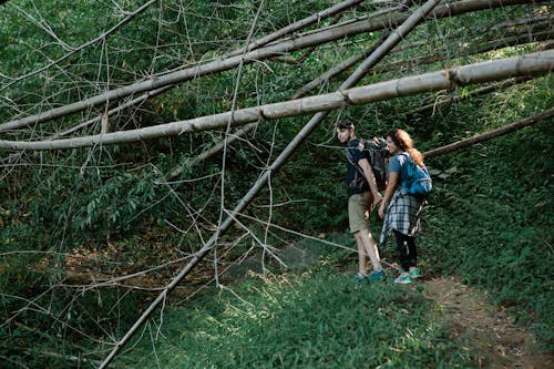 Side view of young travelling couple in casual clothes and backpacks holding hands while walking on narrow steep trail during trekking in green lush forest