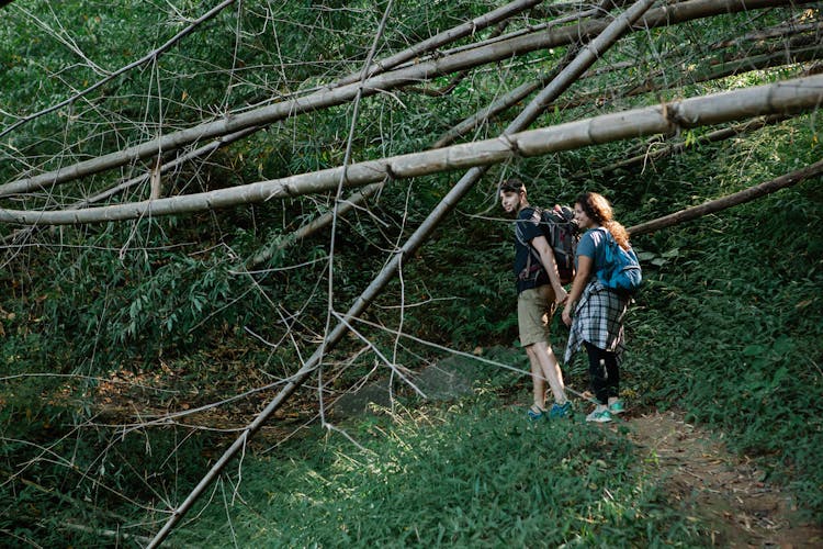 Young Couple Holding Hands While Hiking In Woods