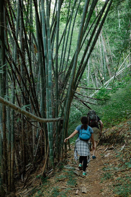Anonymous travelers strolling on narrow alley among bamboo trees