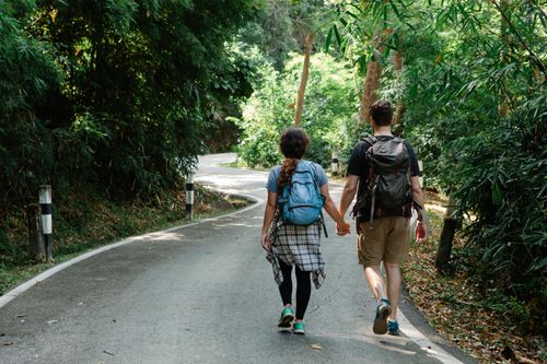 Free Back view of unrecognizable male and female hikers in casual clothes with backpacks holding hands while walking on asphalt road among lush green trees in forest Stock Photo